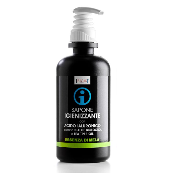 BIGIX SAPONE IGIENIZZANTE CON ACIDO IALURONICO ESTRATTO DI ALOE